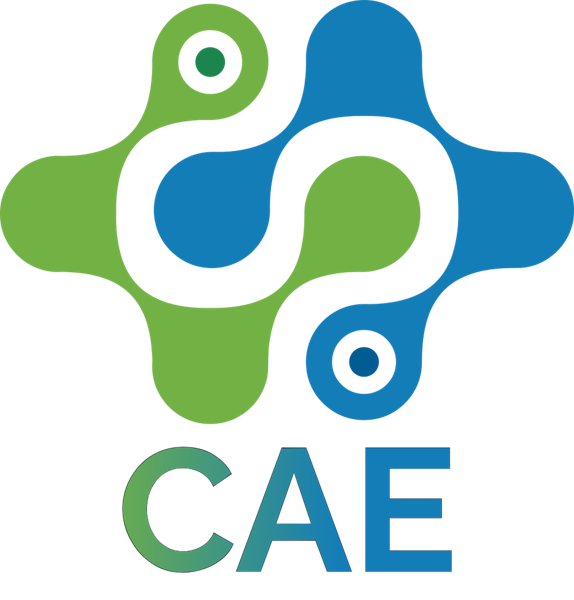 Centre for Advanced Electronics (CAE) logo