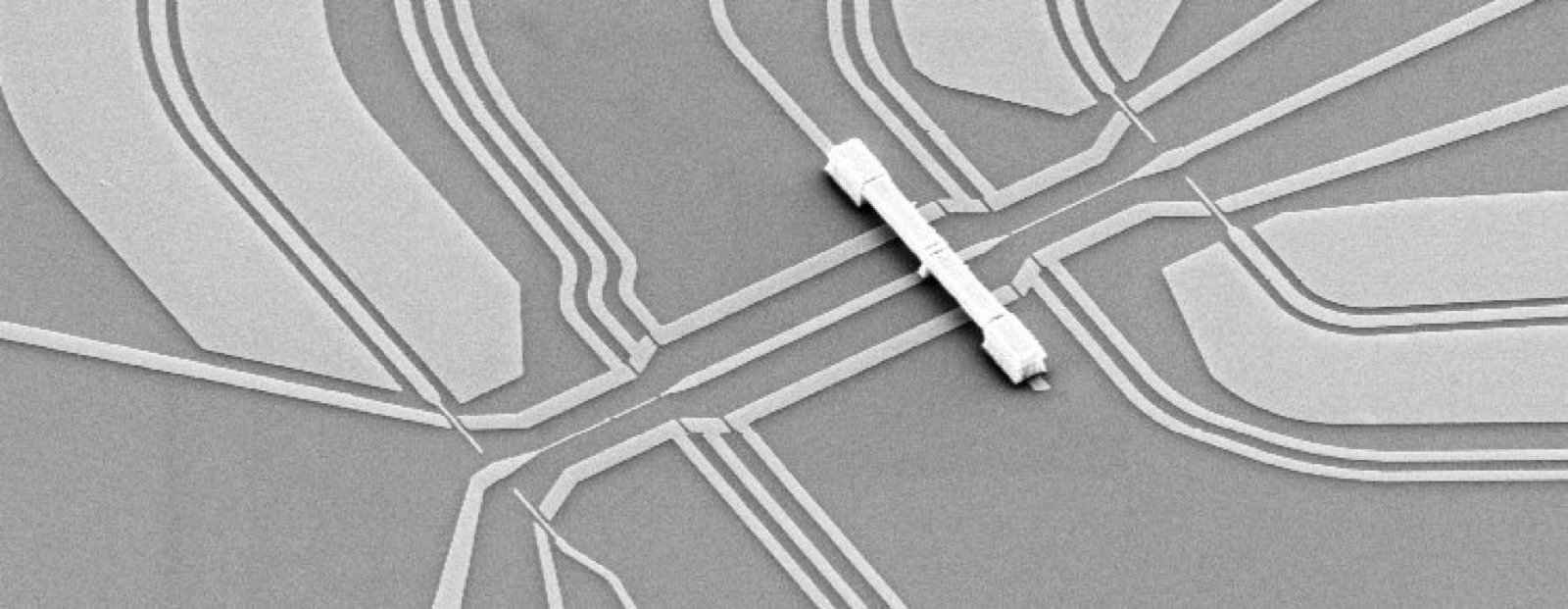 Scanning electron micrograph of an electronic Mach-Zehnder interferometer